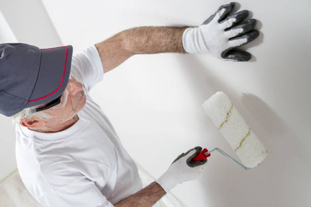 Best Mold Remediation for Healthcare Facilities  in Alamo, TX