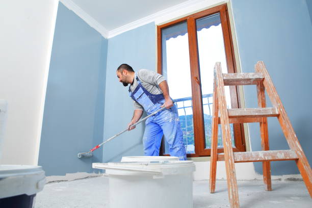  Alamo, TX Mold Removal Pros