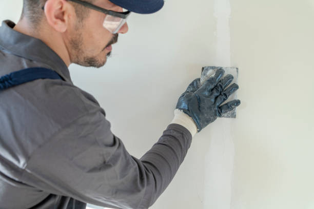 Best Biohazard Mold Removal  in Alamo, TX