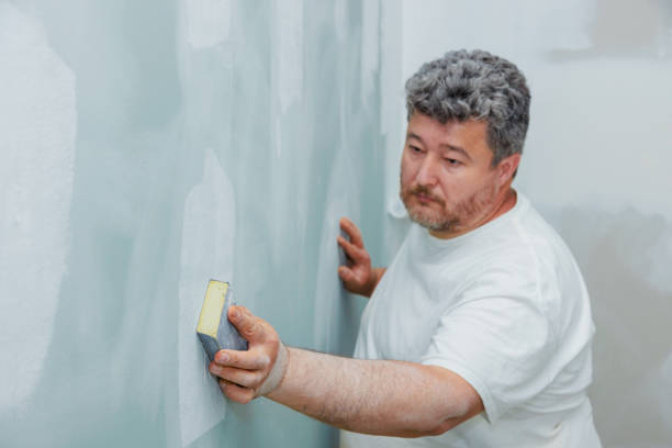 Trusted Alamo, TX Mold Removal Experts
